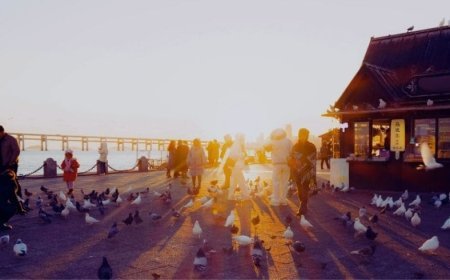 Toplum Dayanışma Platformu