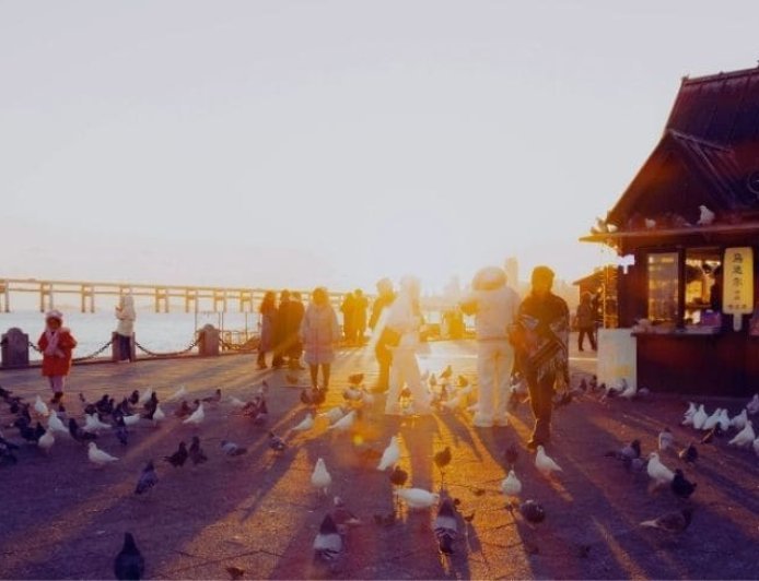 Toplum Dayanışma Platformu